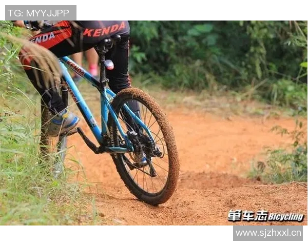 南京极限运动队协作精神探讨与团队配合的成功之道