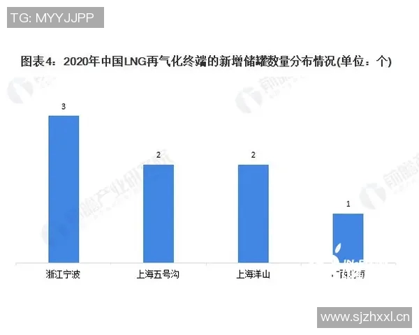 数据分析揭示LNG市场动态与表现趋势的深度解读与未来展望