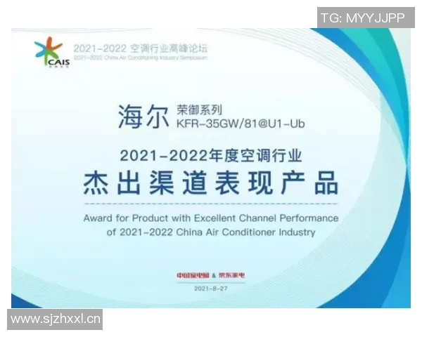 成都飞盘队防守革新之路探索与实践的深度分析与启示