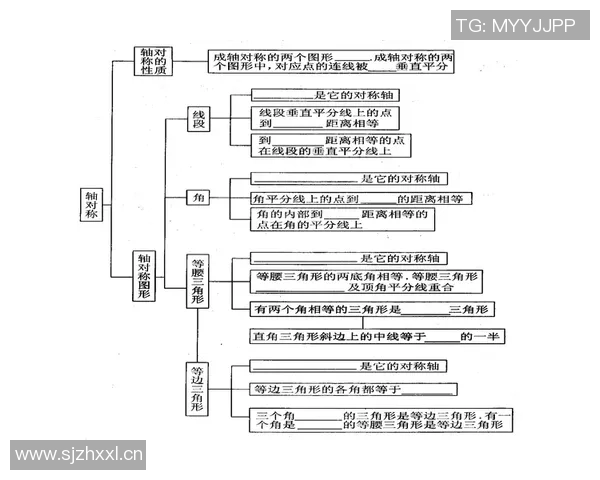 焦泊乔：在现代社会中探索自我与梦想的旅程与思考