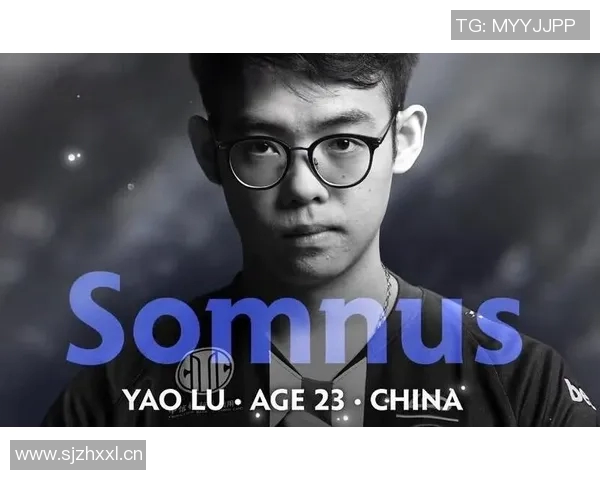 DOTA2专题分析:深入探讨TES战队的团队协作与战略配合技巧