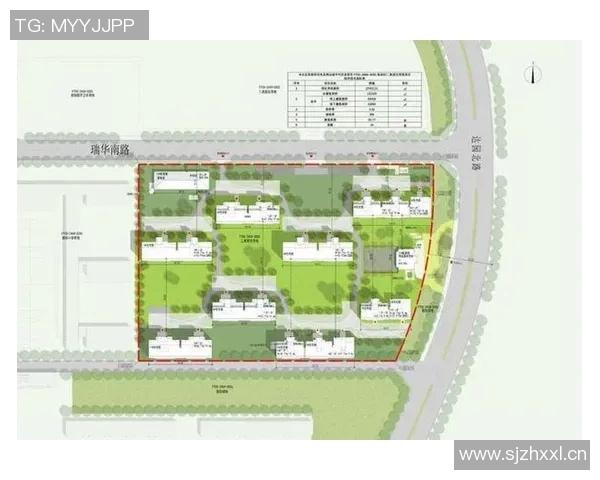 从零开始掌握篮球配合技巧全面指南助你成为场上明星MBA