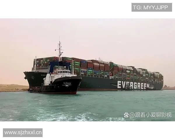 赖斯在国际舞台上的崛起与影响力分析及其对未来局势的潜在影响