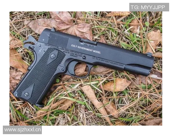 篮球明星柯尔特