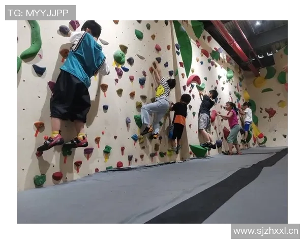 南京滑板队在世界攀岩锦标赛中的技术表现分析与点评